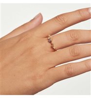 Ringe PDPaola Dame Five in Silber AN01-210-12 - AN01-210-12